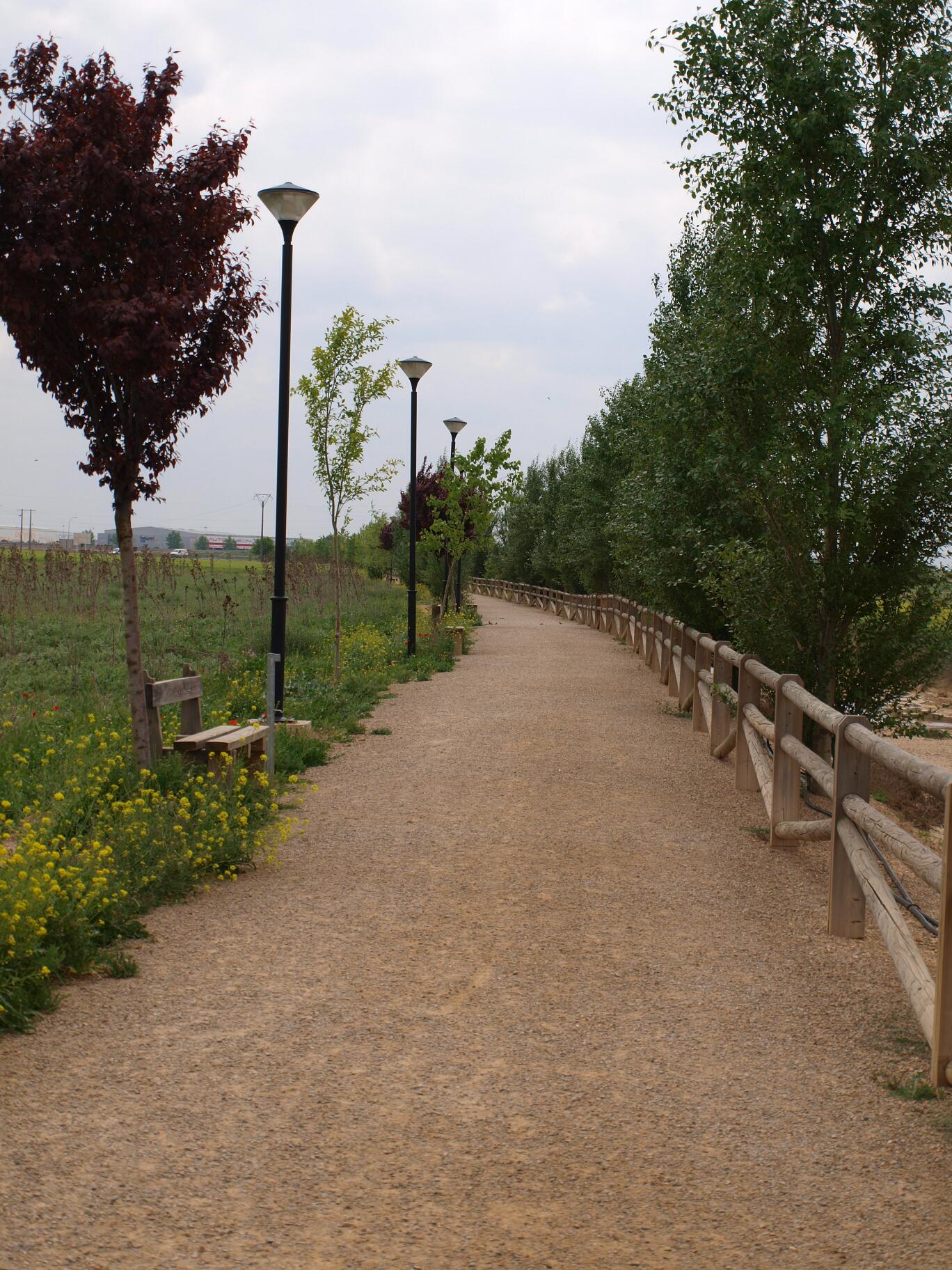 Camino